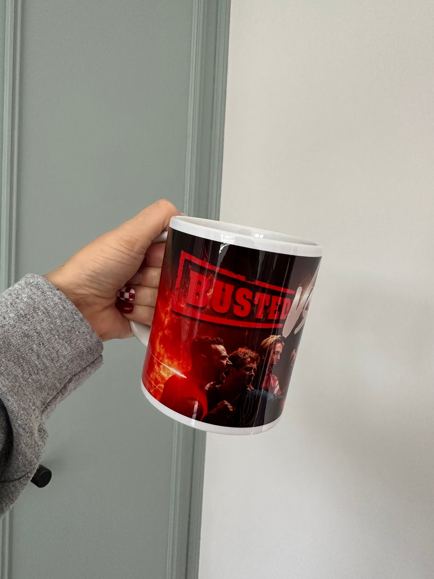 Busted vs McFly 11oz Mug