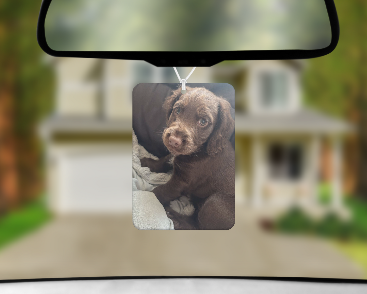 Custom Pet Air Freshener